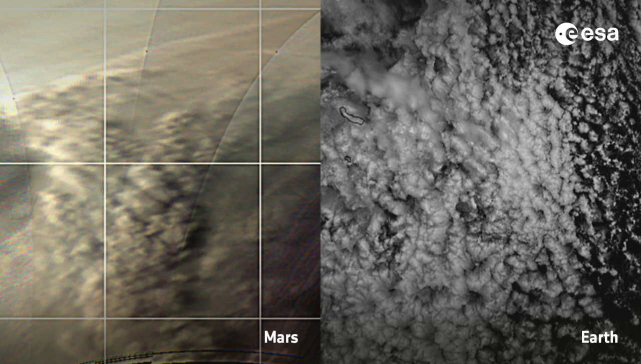 Порівняння структури хмар під час пилових бур на Марсі з формуванням подібних конвекційних комірок в атмосфері Землі. На зображенні ліворуч зображено шторм на марсіанському північному полюсі в травні 2019 року, а праворуч – знімки супутника Meteosat-8 20 березня 2020 року над земними Азорськими островами. ESA