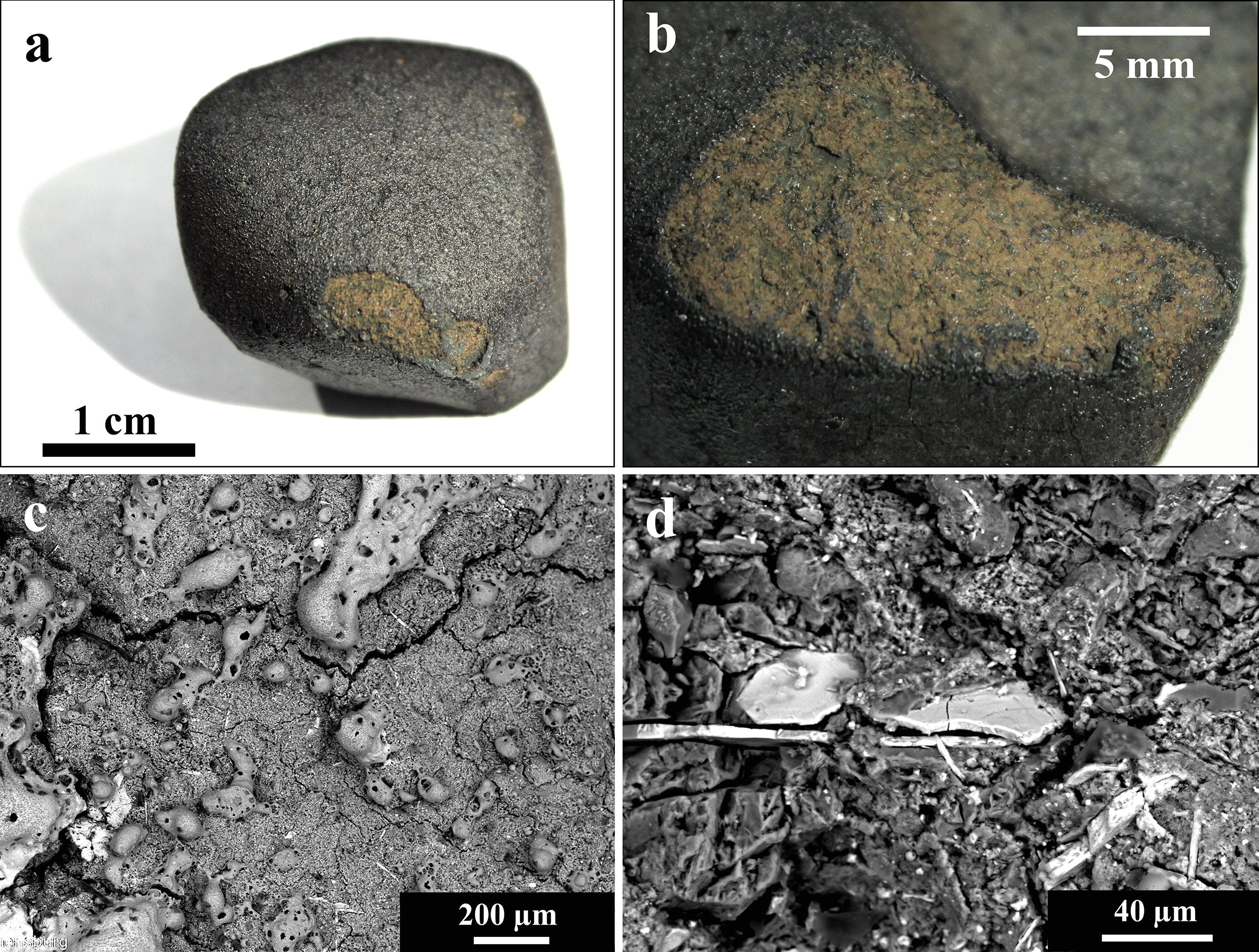 Метеорит під мікроскопом. A. Bischoff / M. Patzek, University of Münster&amp;nbsp;