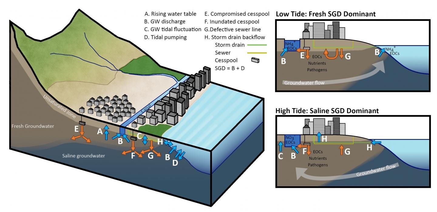 Схема зв’язку між підземними та поверхневими водами, зливовими стоками та інфраструктурою стічних вод. McKenzie, et al.