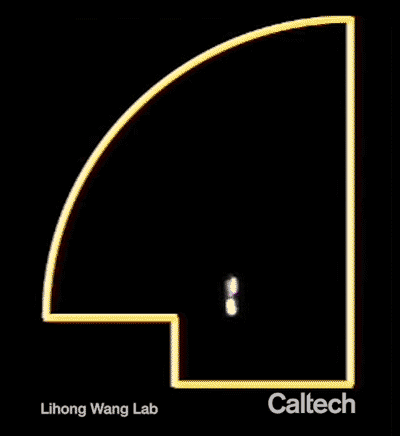 Два імпульси лазерного світла проходять різні шляхи, відображаючи хаотичність. Caltech