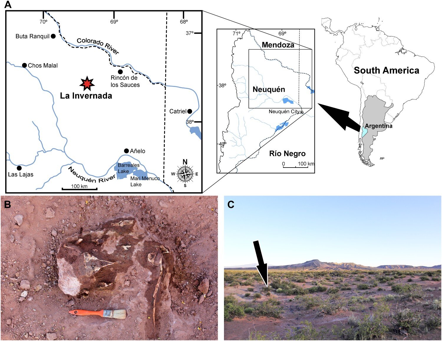 Місцезнаходження скам’янілості. Federico A. Gianechini et al.