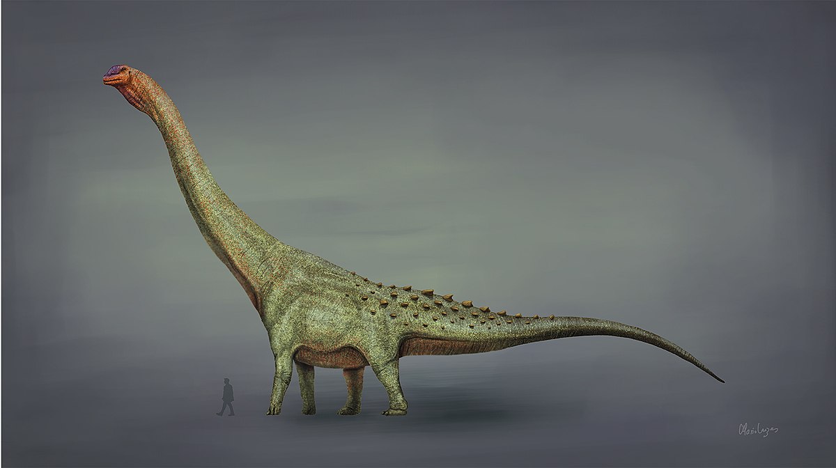 Патаготитан, рід титанозаврів. Mariol Lanzas / Wikimedia Commons