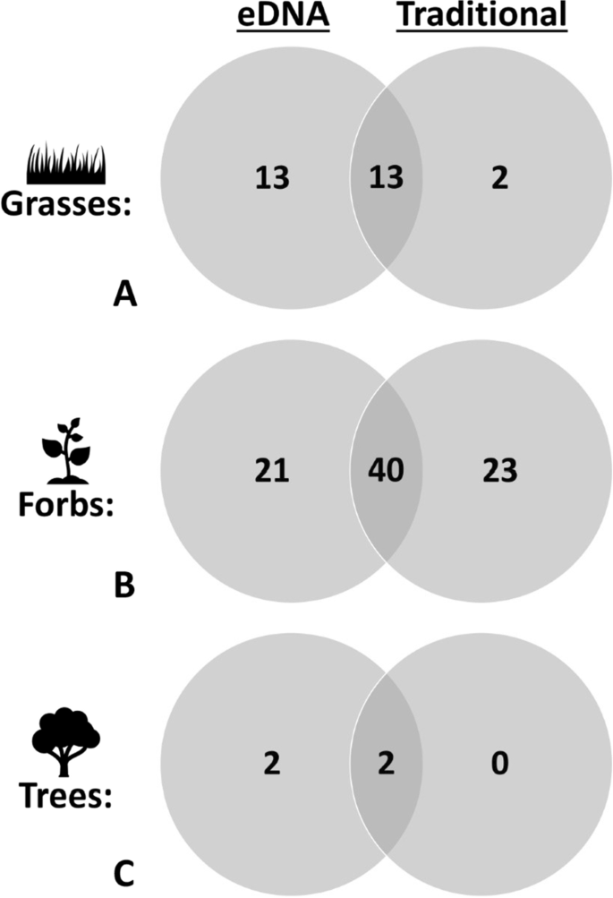 Кількість видів трав (А), різнотрав'я (В) та дерев (С), виявлені за допомогою методу вивчення ДНК з повітря (зліва) або традиційним способом (справа) та обома ними (перекриття).&amp;nbsp;&amp;nbsp;Mark D. Johnson et al. /&amp;nbsp;BMC Ecology and Evolution, 2021