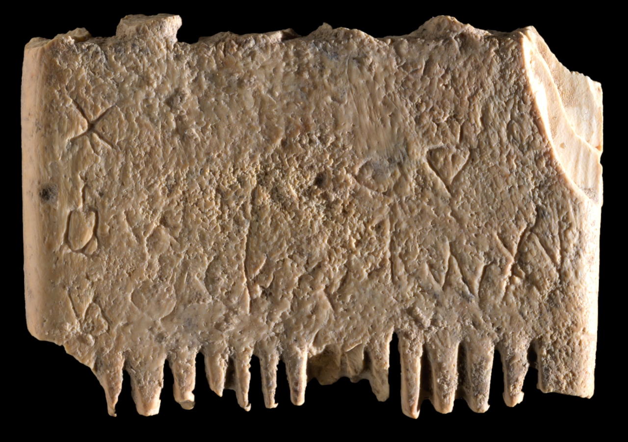 Гребінець із Лахішу віком 3 700 років з надписом на абетці по центру.&amp;nbsp;Daniel Vainstub et al. / Jerusalem Journal of Archaeology, 2022