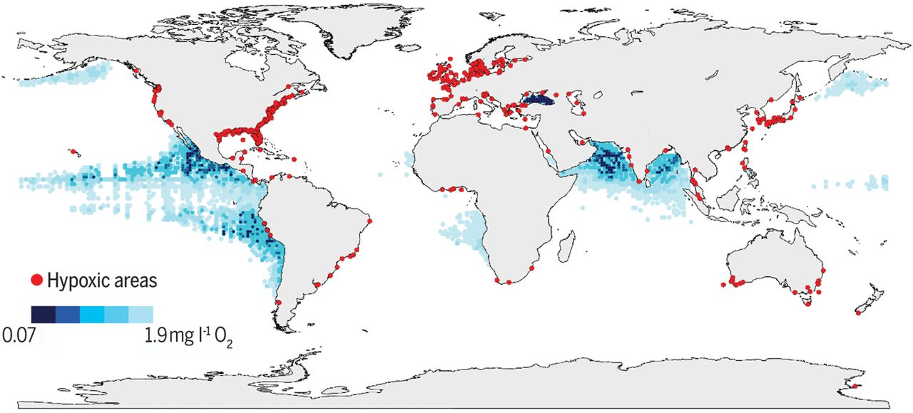 Глобальна мапа прибережних зон, де концентрація кисню катастрофічно падає (червоні точки), а також зони кисневого мінімуму на глибині 300 метрів (заштриховані синім). R. Diaz / World Ocean Atlas, 2009