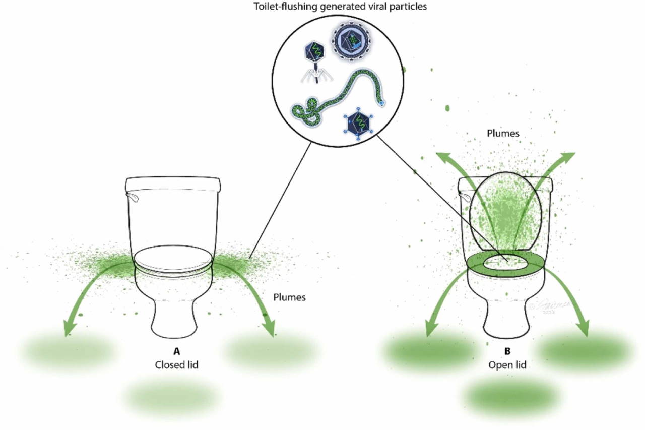 Ілюстрація того, як патогени можуть поширюватися із туалетними бризками.&amp;nbsp;Madison P. Goforth et al. / American Journal of Infection Control, 2024
