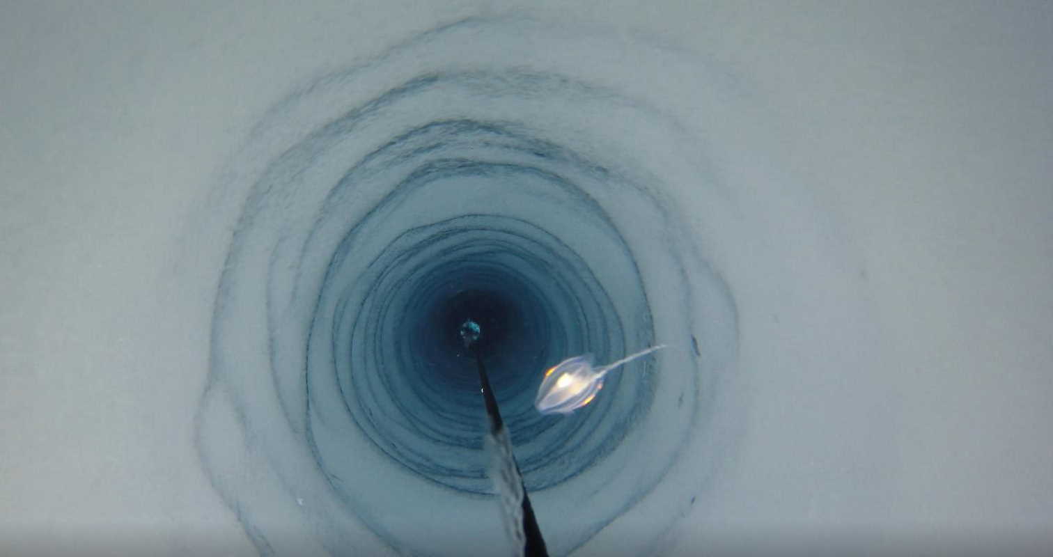 Спуск камери у свердловину в льодовику (тварина на зображенні не стосується дослідження). Dr. Huw Griffiths / British Antarctic Survey