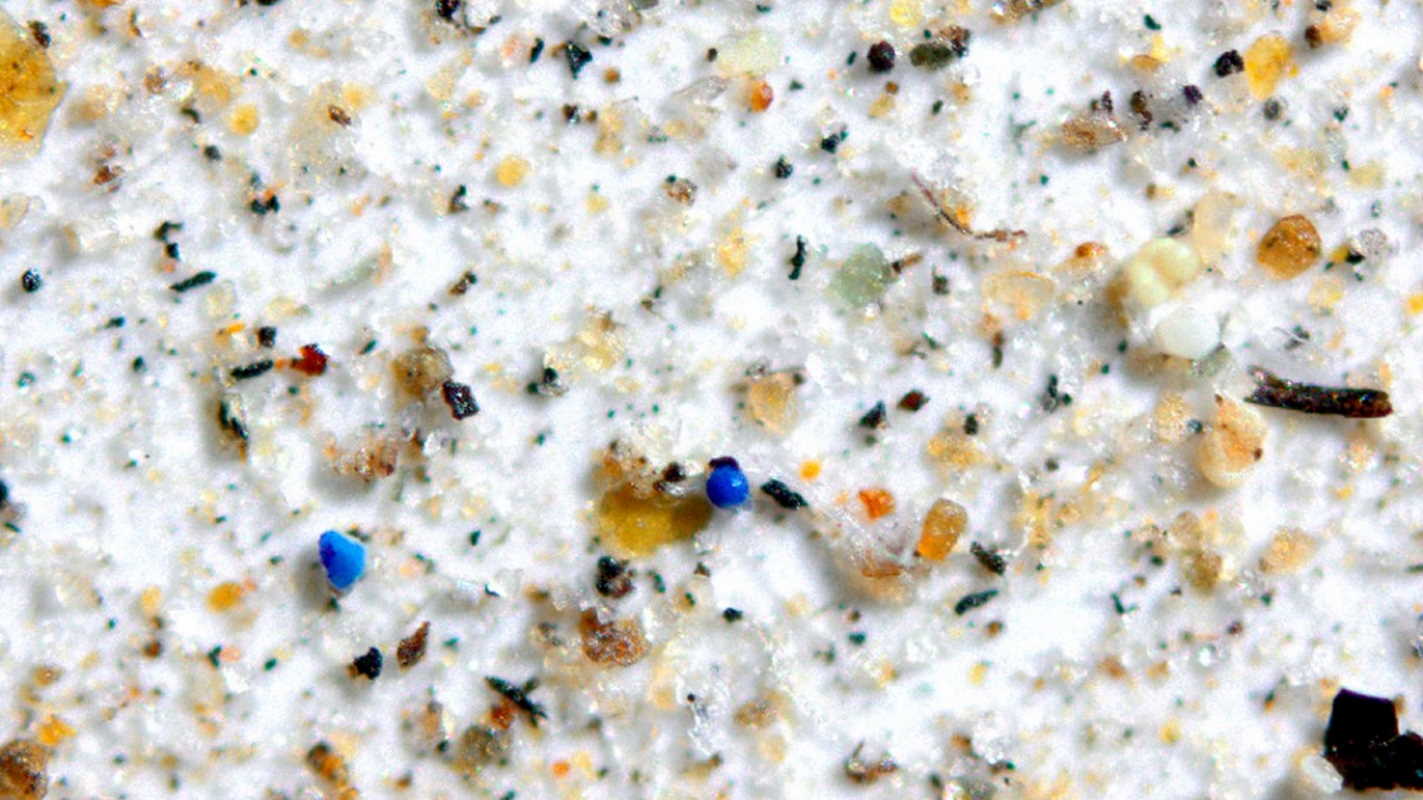 Синій мікропластик на фільтрі під мікроскопом. Janice Brahney / Cornell University
