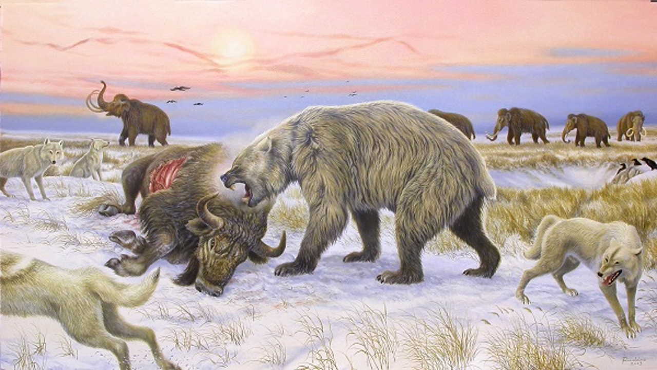 Художня інтерпретація гігантського короткомордого ведмедя, що поїдає бізона. Ronaldino, Grant Zazula / Yukon Beringia Interpretation Centre