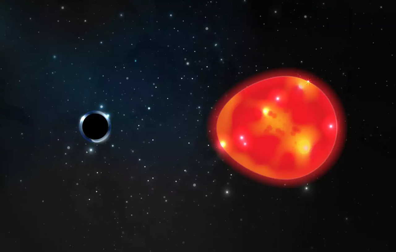 Художня ілюстрація чорної діри біля V723 Mon. Lauren Fanfer