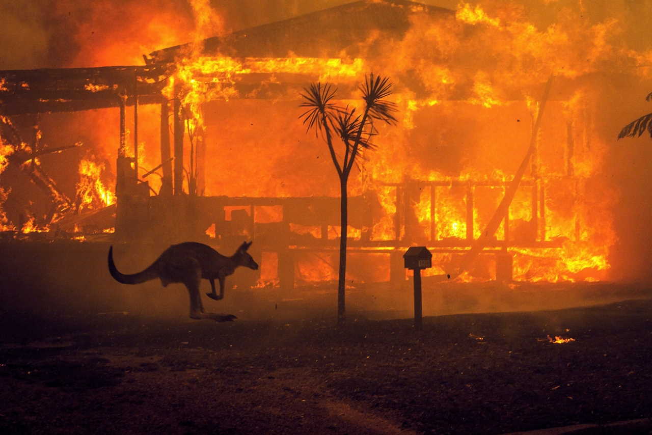 Пожежі в Австралії 31 грудня 2019 року. Matthew Abbott / The New York Times via Redux Pictures