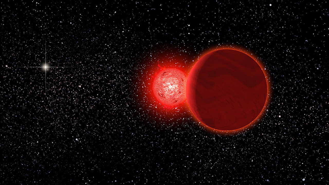 Художнє зображення іншої схожої системи, зірки Шольца. Michael Osadciw/University of Rochester