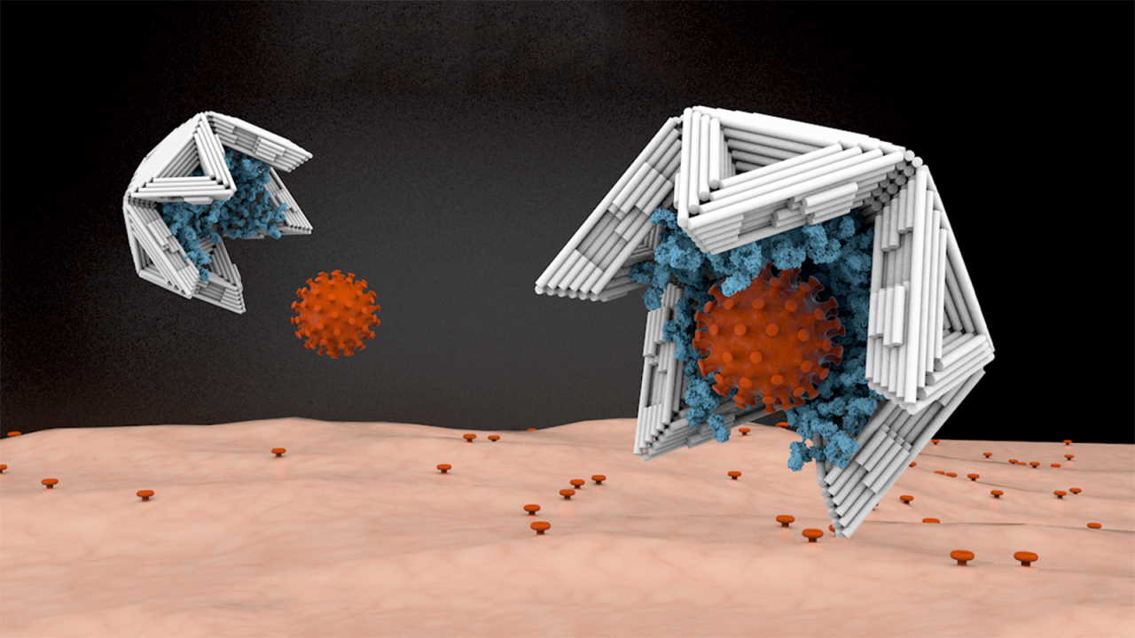 Художнє зображення напівікосаедричних нанопасток із ДНК, які захоплюють вірусні частинки (червоні) завдяки молекулам, здатним зв'язуватися з вірусами (сині). Elena-Marie Willner / DietzLab / TUM&amp;nbsp;