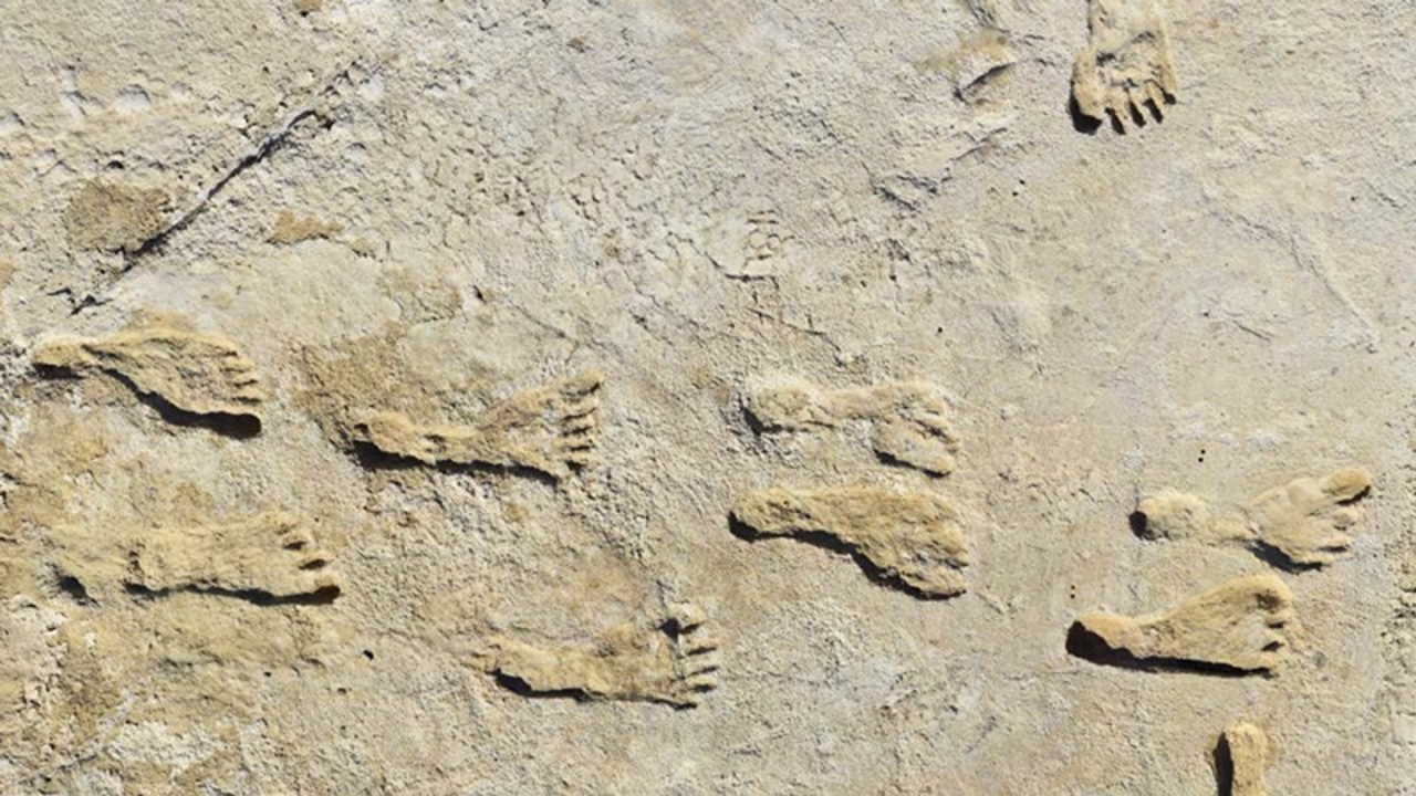 Древні сліди ніг з Вайт-Сандс, вік яких оцінили в понад 21 тисячу років. National Park Service, USGS, Bournemouth University