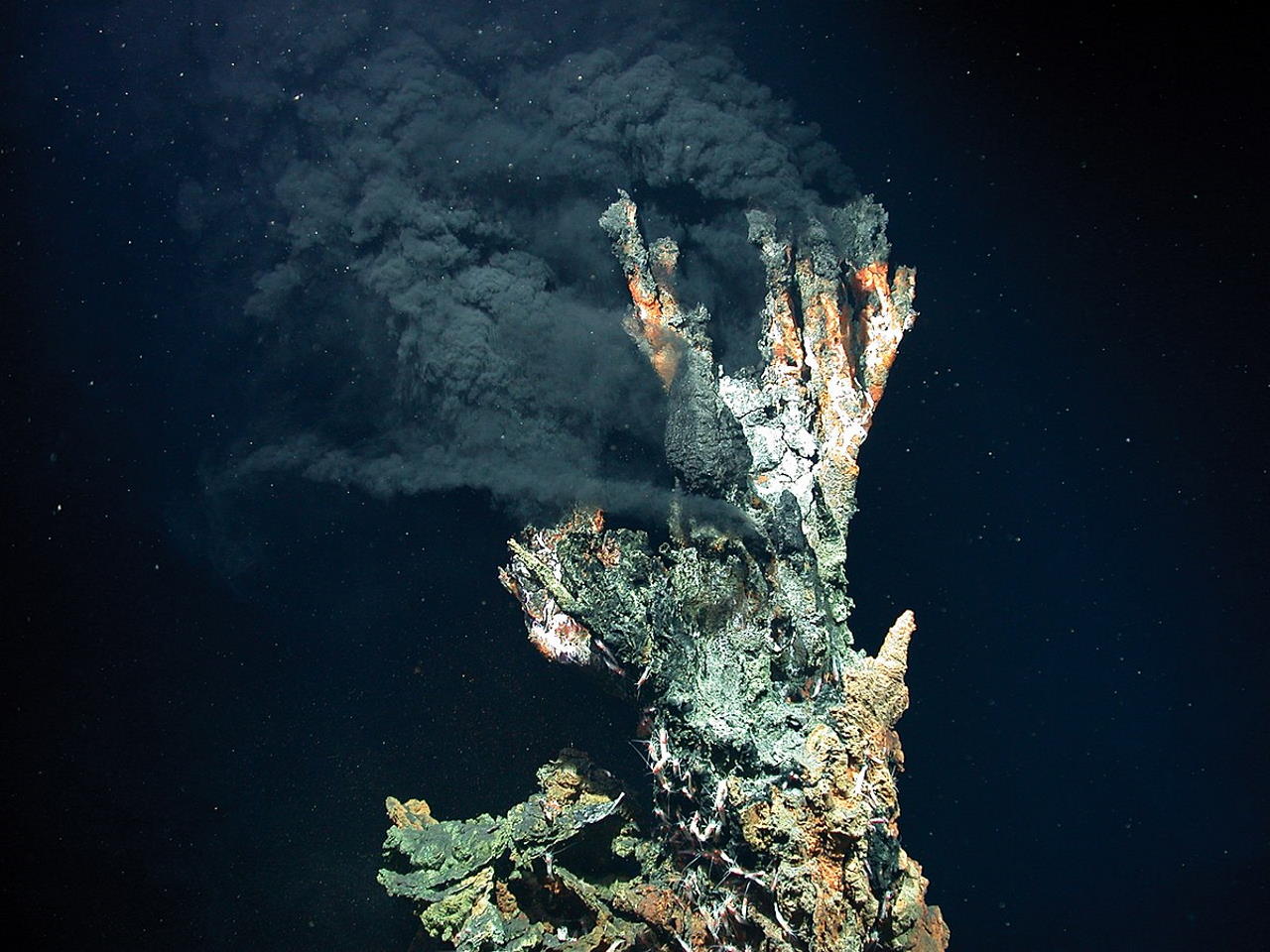 Гідротермальне глибоководне джерело. MARUM / Wikimedia Commons