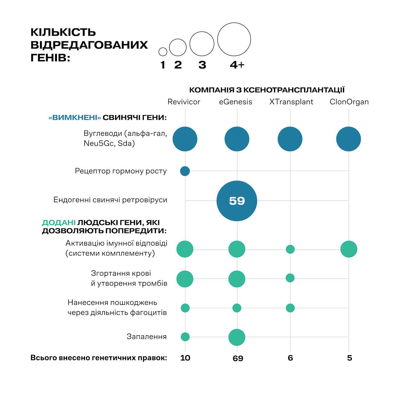 Скільки та яких саме генетичних правок було внесено різними компаніями у їхніх свиней. (GRAPHIC) M. HERSHER/SCIENCE; (DATA) REVIVICOR; EGENESIS; XTRANSPLANT; CLONORGAN