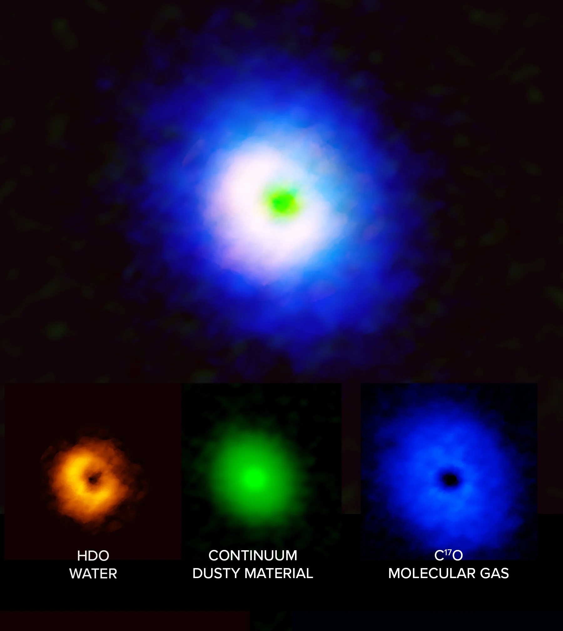 Радіоспостереженя за протозорею виявили воду (помаранчевий), пил (зеленим) та молекулярний газ (синій), що дозволяє припустити, що вода у її протопланетному диску подібна до воду на об'єктах у нашій Сонячній системі і може мати подібне джерело походження. ALMA (ESO/NAOJ/NRAO), J. Tobin, B. Saxton (NRAO/AUI/NSF)