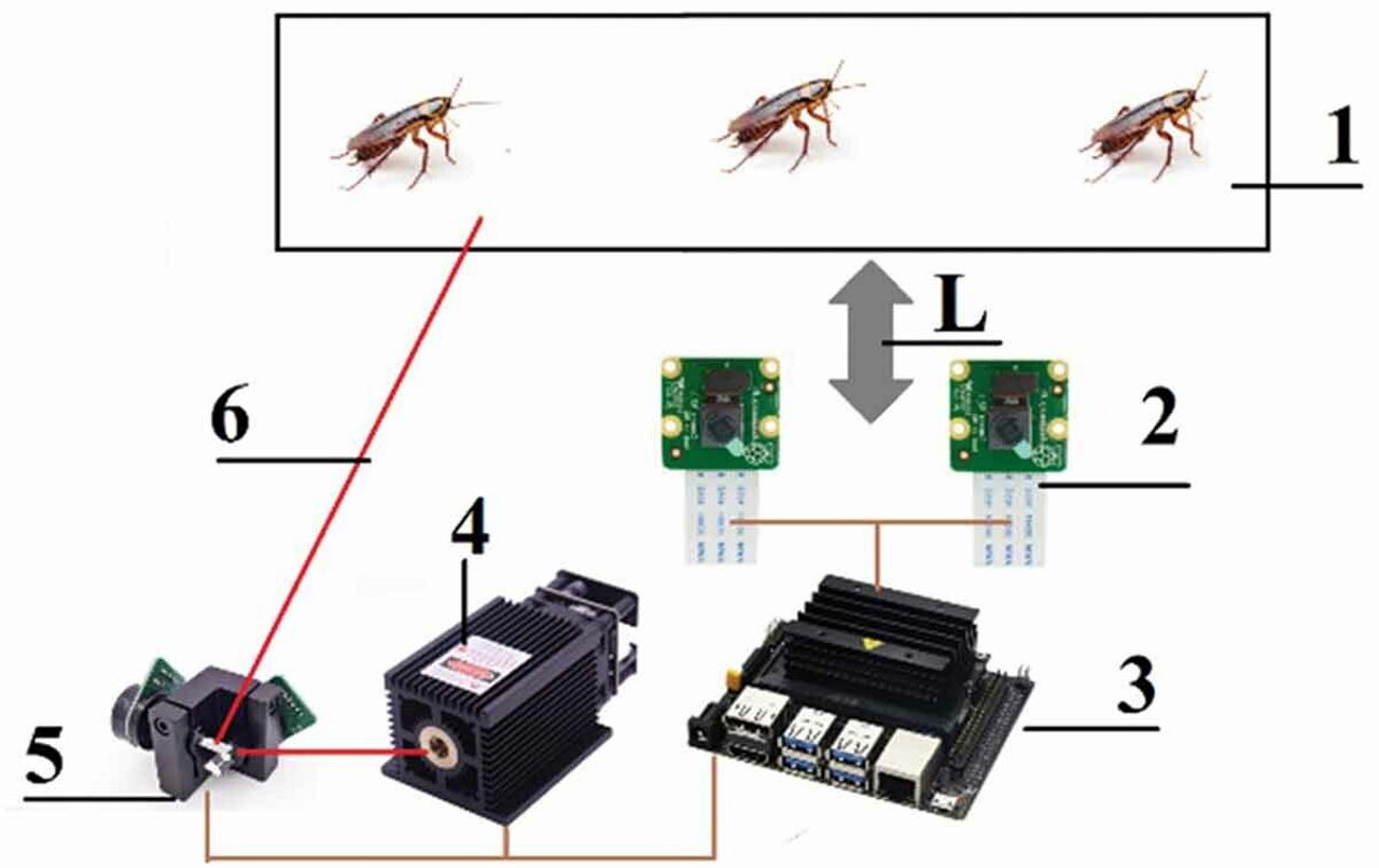Схема роботи системи з боротьби з прусаками.&amp;nbsp;I. Rakhmatulin et al. / Oriental Insects, 2022