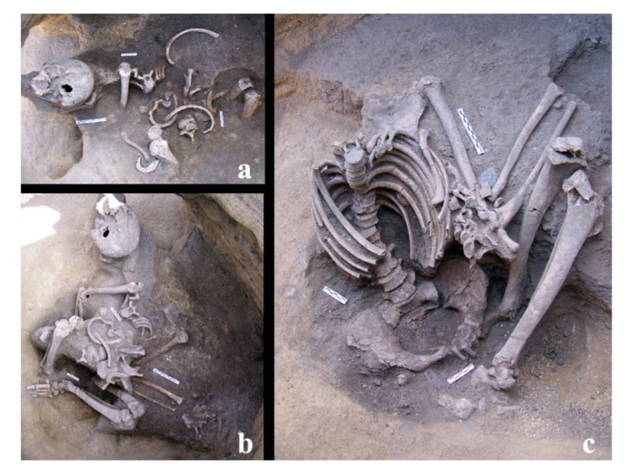 Ana.M.Herrero-Corral et al. / Journal of Archaeological Science: Reports