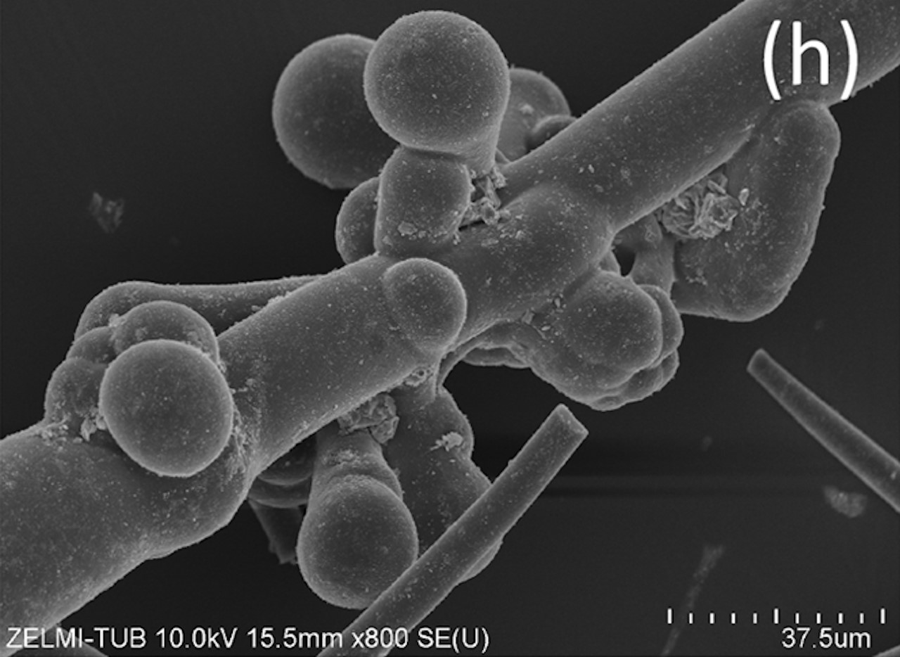 Скам'янілість мікробів з Волинського родовища. Gerhard Franz et al. / Biogeosciences, 2023 