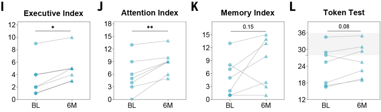 Показники виконавчої функції, уваги, пам'яті та вербального розуміння в учасників до (BL) та після (6М) гормональної терапії.&amp;nbsp;Maria Manfredi-Lozano et al. /&amp;nbsp;Science, 2022
