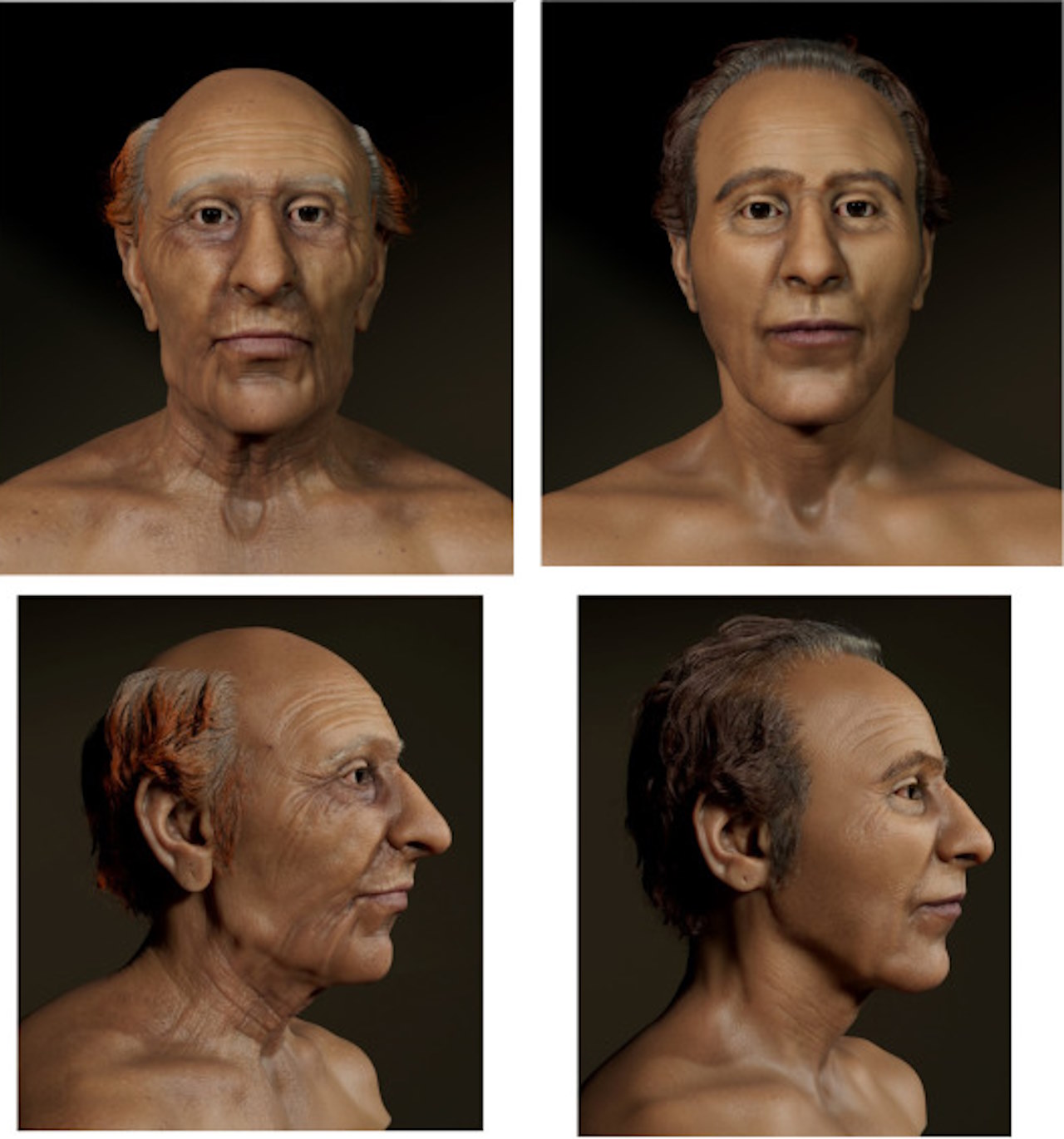 Тривимірна реконструкція обличчя Рамсеса ІІ. Ліва колонка - у віці 90 років, права - у віці 45 років.&amp;nbsp;Caroline M. Wilkinson et al. / Journal of Archaeological Science, 2023