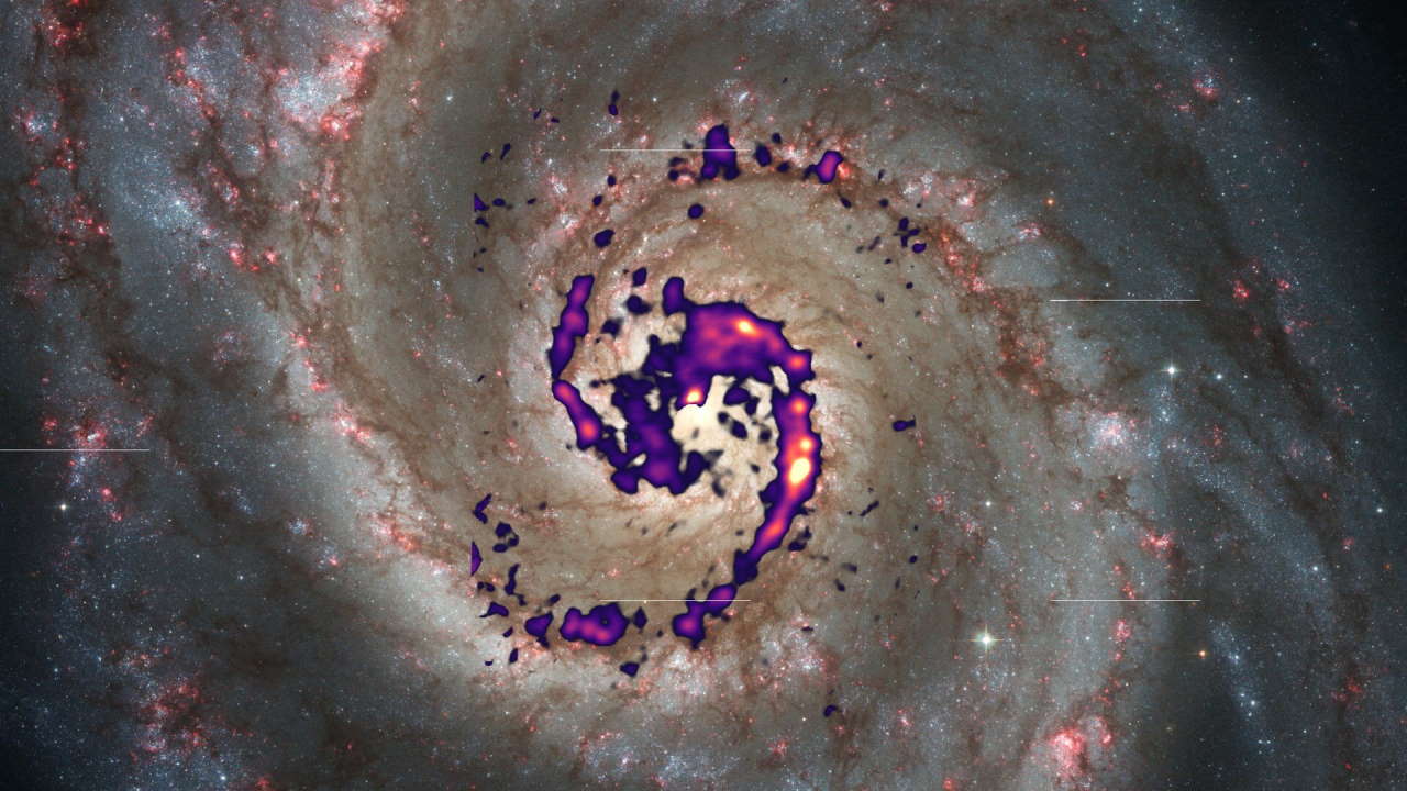 Розподіл молекул-маркерів у зоряних колисках галактики.&amp;nbsp;Thomas Müller (HdA/MPIA), S. Stuber et al. (MPIA), NASA, ESA, S. Beckwith (STScI) und das Hubble Heritage Team (STScI/AURA)