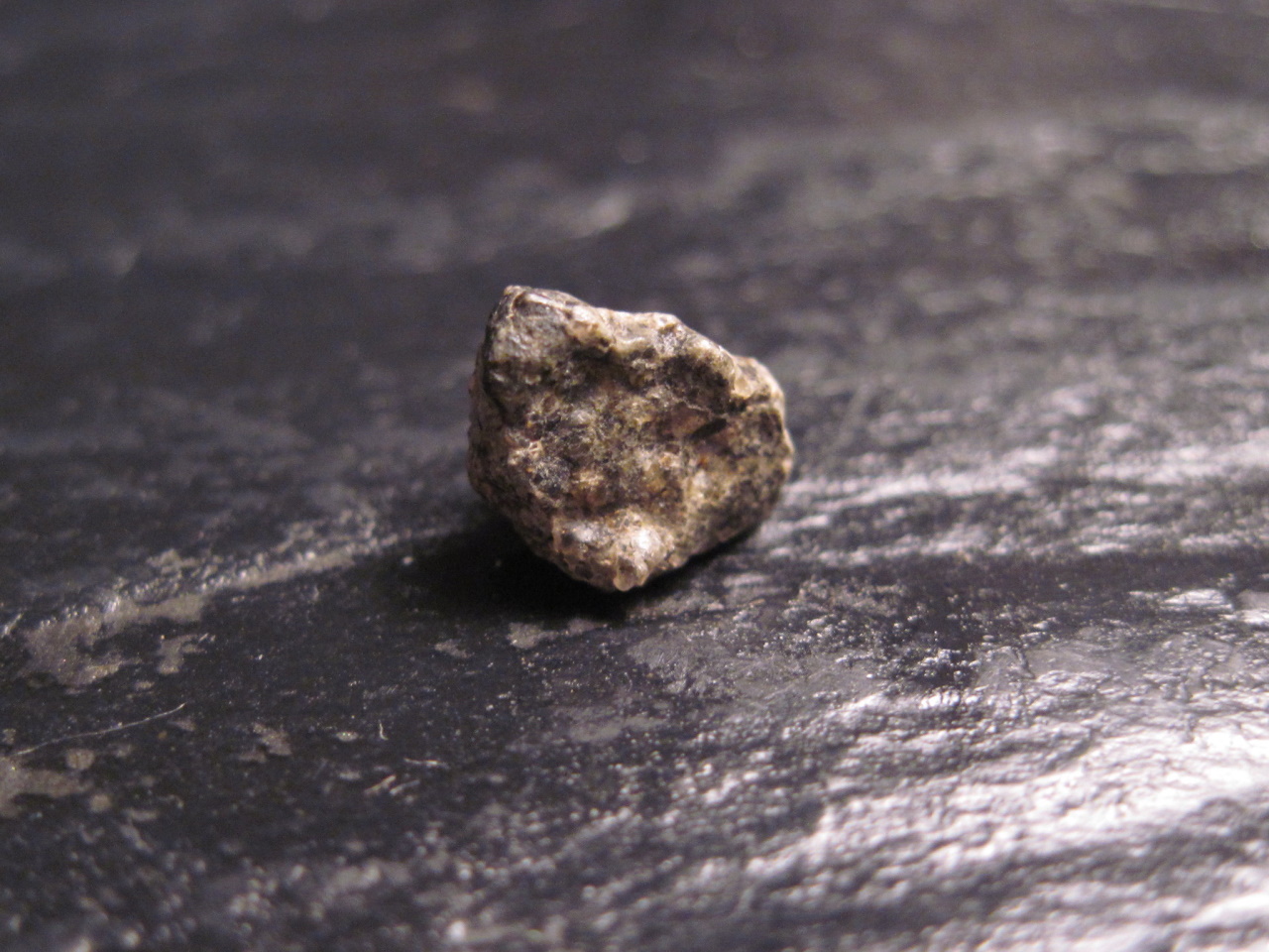 Один зі знайдених марсіанських метеоритів.&amp;nbsp;Jon Taylor / Flickr