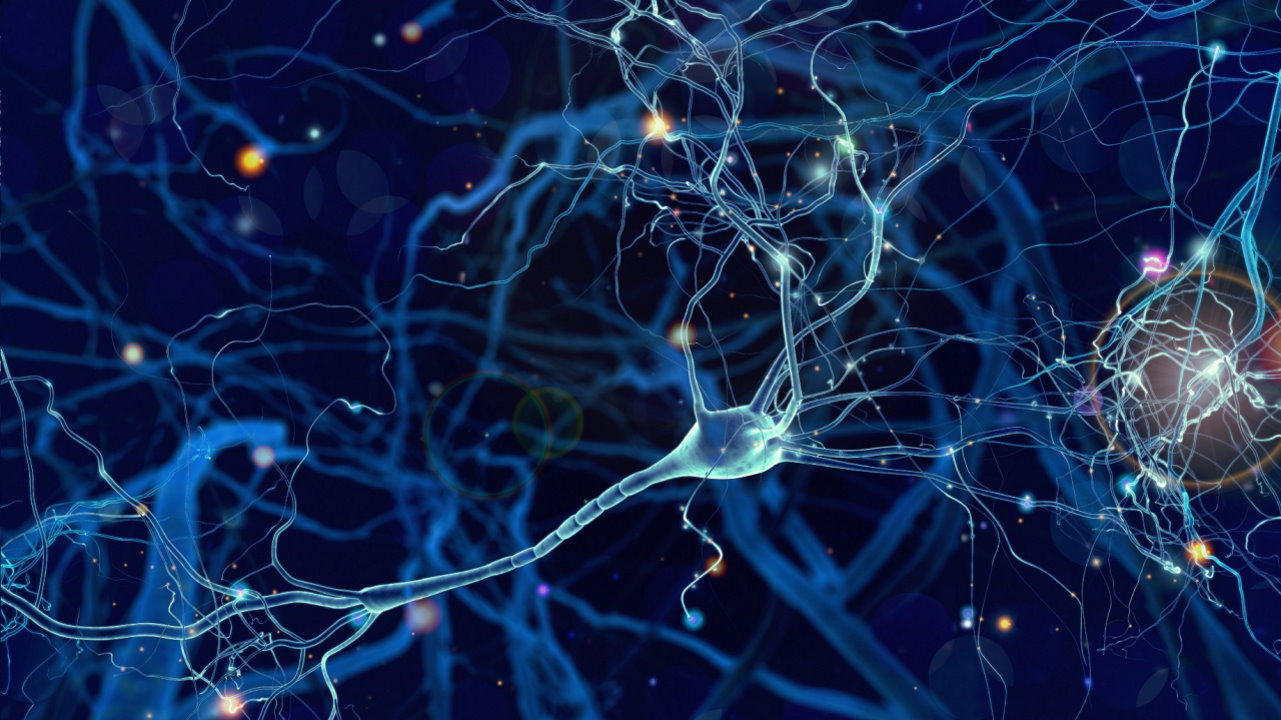 Художнє зображення нейрона.&amp;nbsp;Towards Data Science