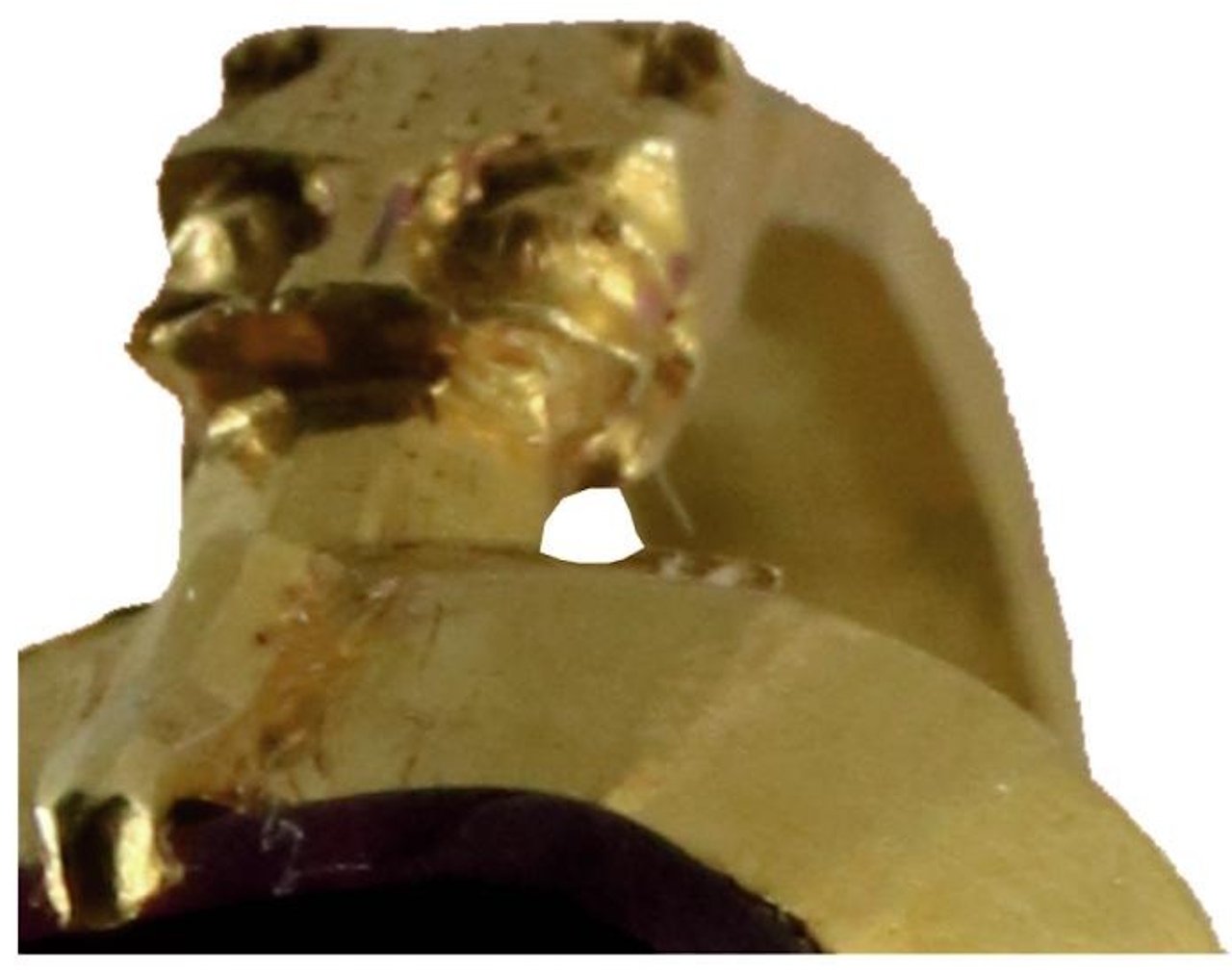 Каблучка мала голови левів з обох боків від каменя.&amp;nbsp;Beljak Pažinová et al. / Journal of Archaeological Science: Reports, 2025