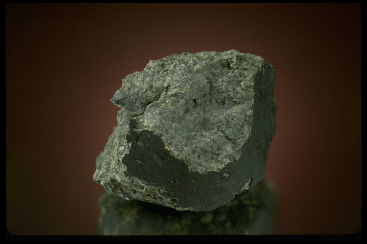 Метеорит Allan Hills 84001 / Chip Clark
