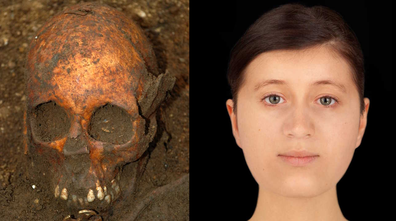 Череп та реконструкція за ним обличчя дівчини з Англії VII століття. University of Cambridge Archaeological Unit