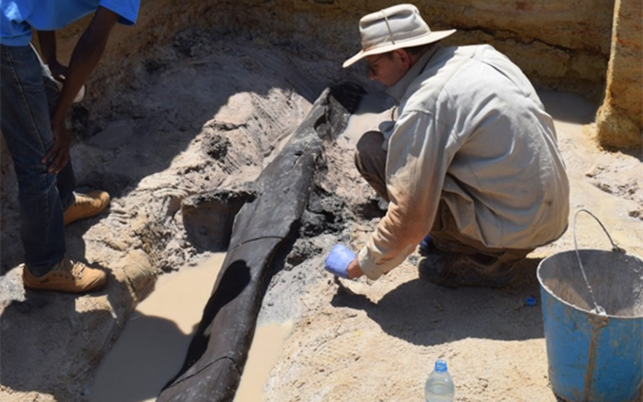 Дослідники розкопують рештки дерев'яної конструкції з колод у Замбії. Professor Larry Barham, University of Liverpool