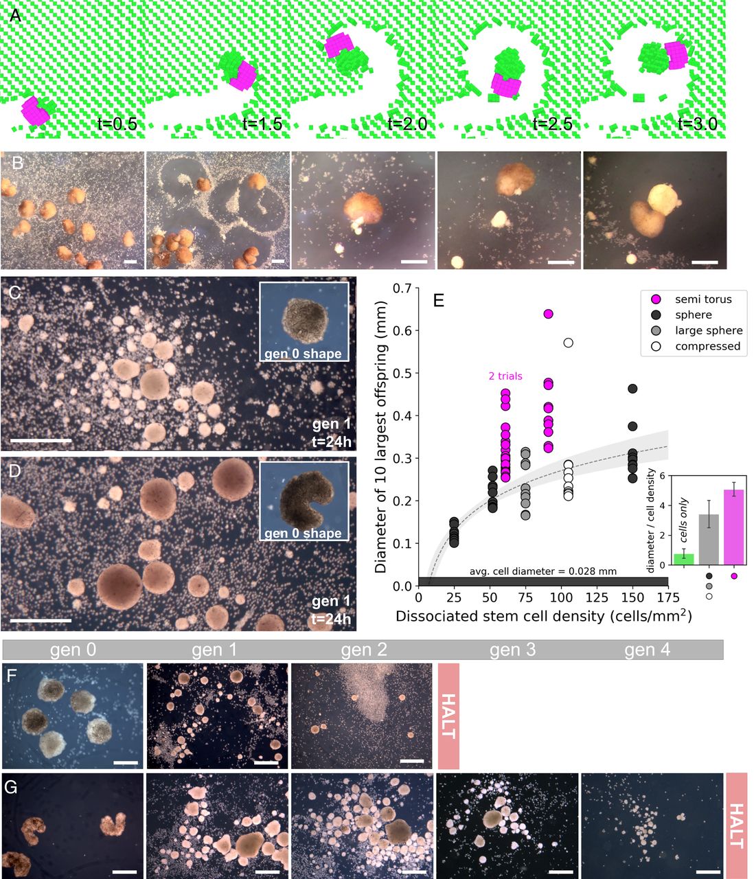Включення нанорозмірів у кристалах кальциту. Akira Tsuchiyama et al.
