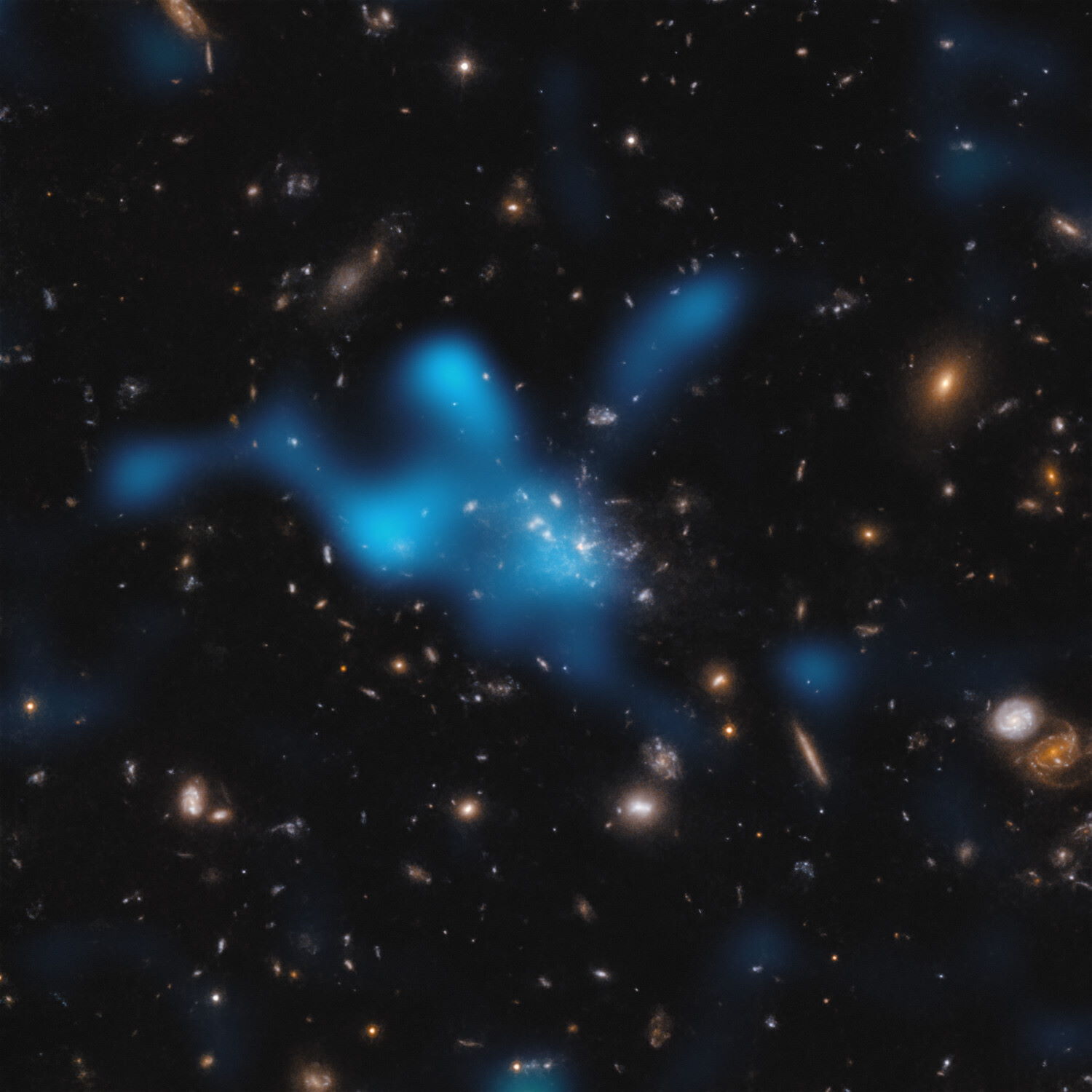 Композитне зображення скупчення телескопа «Габбл» та виявлений розподіл резервуару газу, який вдалося побачити ALMA. ESO / Di Mascolo et al.; HST: H. Ford