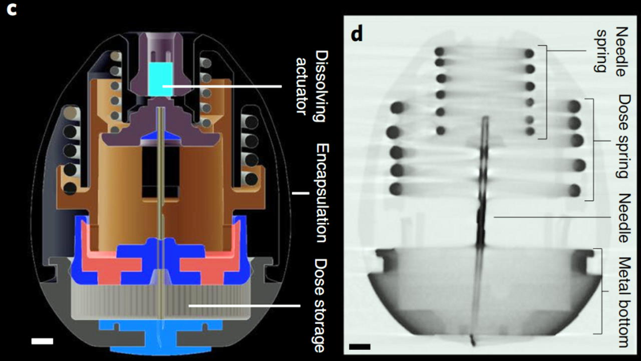 Будова капсули&amp;nbsp;SOMA та рентегівське її зображення.&amp;nbsp;Alex Abramson et al. / Nature Biotechnology, 2021