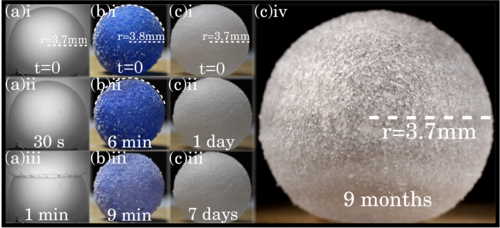 Порівняння трьох видів бульбашок, де на (а) звичайні мильні бульбашки, які лускають менш ніж за хвилину, на (b) бульбашка з мікрогранул поліаміду і води, а на (с) -&amp;nbsp;з поліаміду, води і гліцерину.&amp;nbsp;Aymeric Roux et. al / Phys. Rev. Fluids, 2022