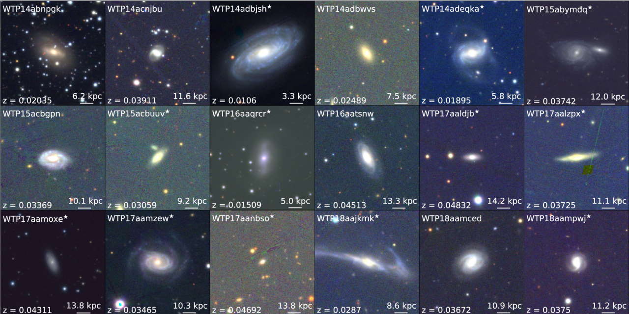 Галактики, у яких астрономи відкрили чорні діри.&amp;nbsp;Megan Masterson et al. / The Astrophysical Journal, 2023