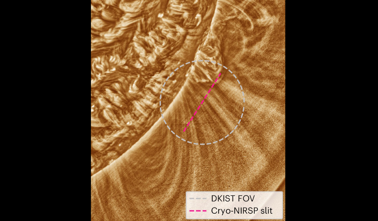 Фрагмент сонячної корони, у якому спостерігали хвилі Альвена. Morton et al. / Nature Astronomy, 2025