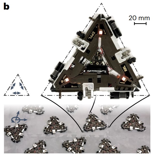 Один модуль Mori3.&amp;nbsp;Christoph H. Belke et al. / Nature Machine Intelligence, 2023