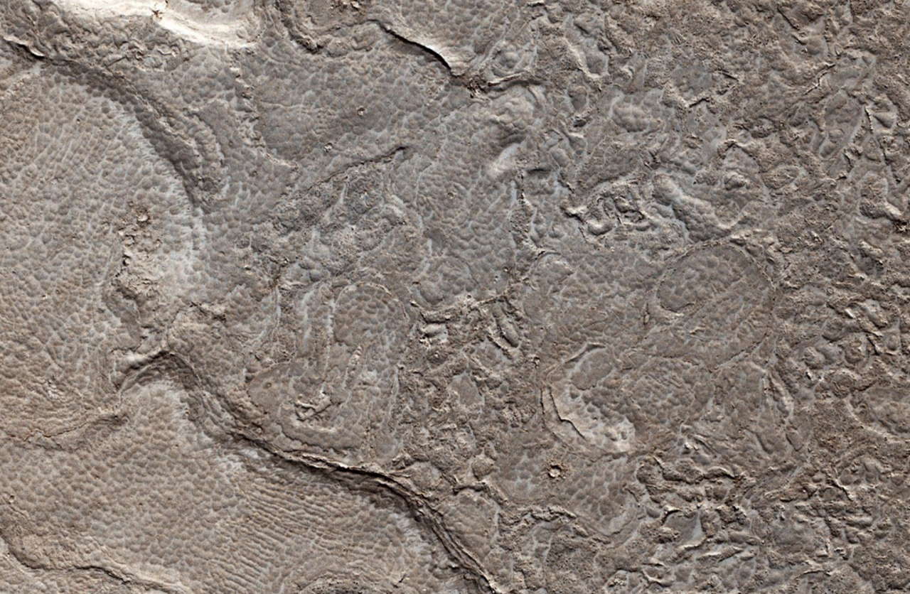 Одна з областей у рівнині Елізій, де чітко видно потоки лави. JPL / NASA