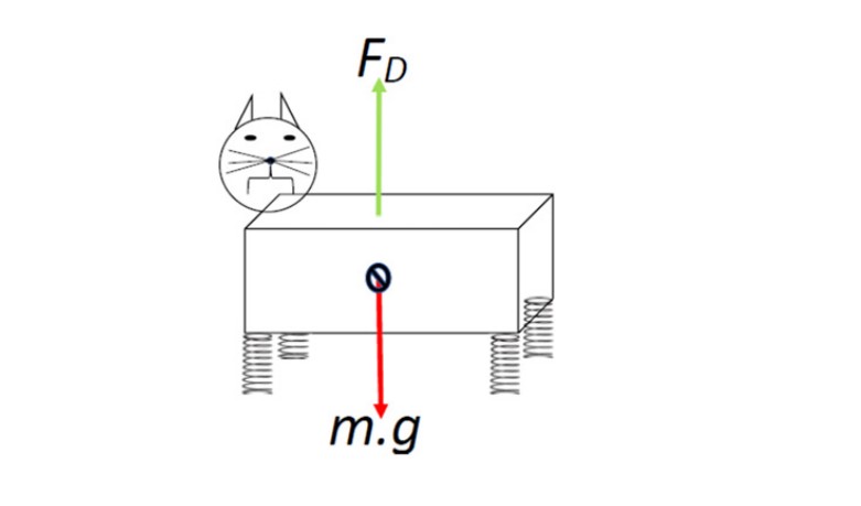 Кіт, який брав участь у дослідженні. При падінні на нього діє сила тяжіння та аеродинамічного опору.&amp;nbsp;John Challis / European Journal of Physics, 2022