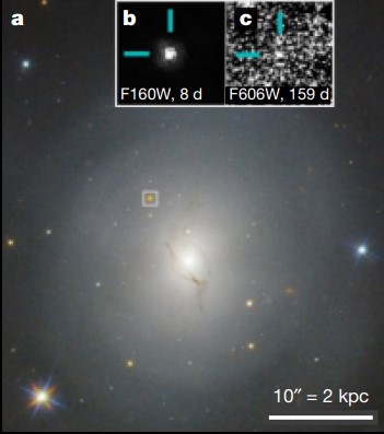 Кольорове композитне зображення батьківської галактики події злиття NGC 4993, отримане «Габблом». ESA, NASA