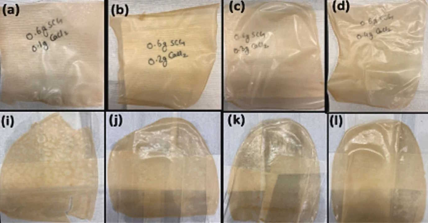 Зразки плівок з різним вмістом солі, які створили вчені. Sajal Bhattarai et al. / International Journal of Biological Macromolecules, 2023