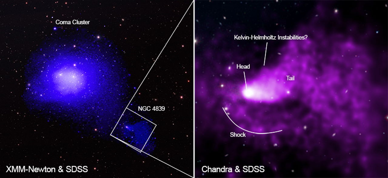 Зображення скупчення Волосся Вероніки і&amp;nbsp;NGC 4839 на його околицях на зображенні телескопа&amp;nbsp;XMM-Newton (зліва) та&amp;nbsp;«Чандра» (справа).&amp;nbsp; NASA/CXC/Princeton Univ/C. Bambic et al.
