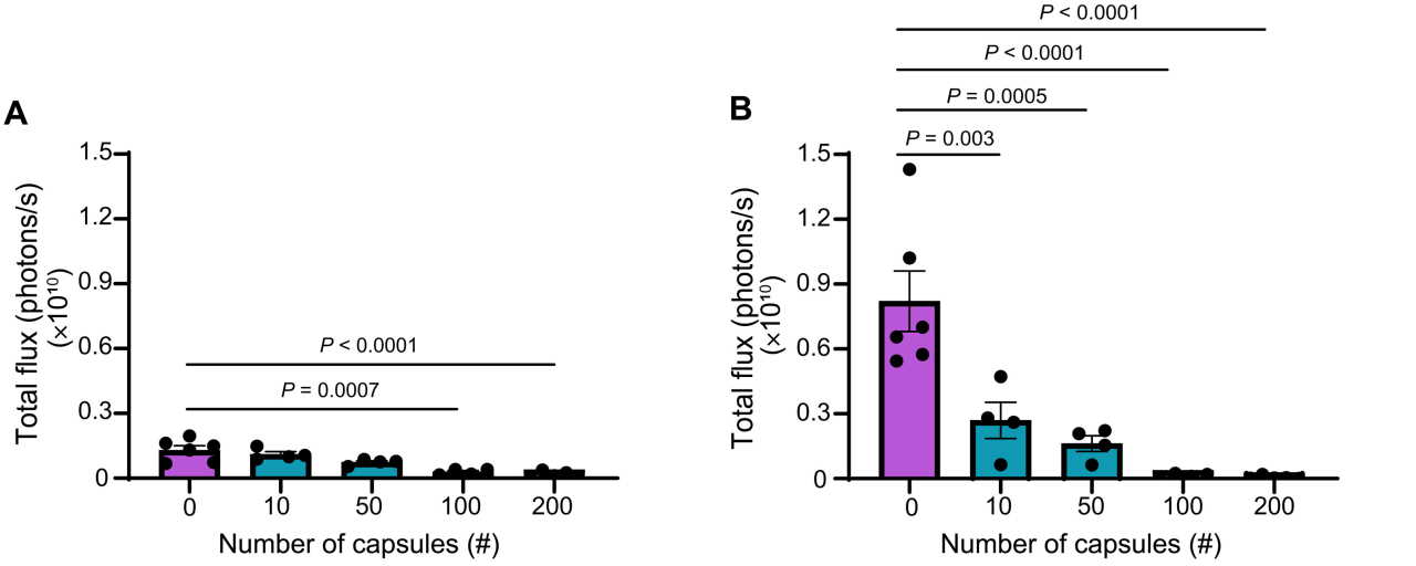 Розміри пухлин у мишей із 0, 10, 50, 100 та 200 капсулами на 6 (А) та 30 (В) день після їх імплантації.&amp;nbsp;Amanda M. Nash et al. /&amp;nbsp;Science Advances, 2022