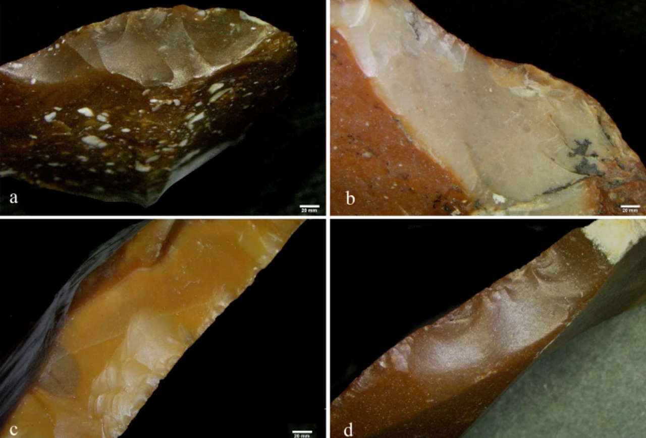 Кам'яні знаряддя, які зазнали мінімального оброблення при повторному використанні.&amp;nbsp;Efrati et al. / Scientific Reports, 2022