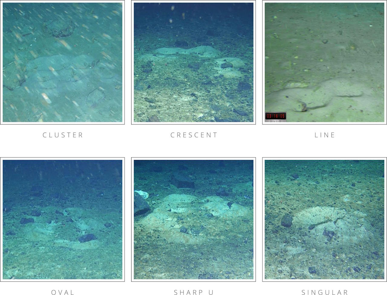 Різні форми скупчень гнізд риб: кластер, півмісяць, лінія, овал, літера U та поодиноке гніздо. Connelly et al. / Frontiers in Marine Science, 2025