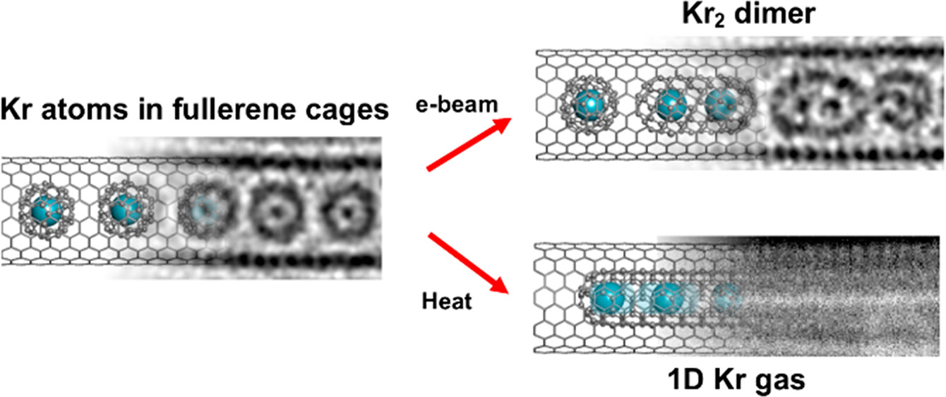 Схематичне зображення, поєднане із знімками мікроскопа, де показані атоми криптону (блакитним) у клітках молекул фулеренів, замкнених у вуглецевих нанотрубках. Зображення до та після нагрівання.&amp;nbsp; Ian Cardillo-Zallo et al. / ACS Nano, 2024