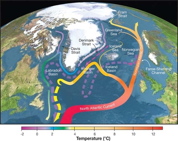 Частина Атлантичної меридіональної течії. R. Curry, Woods Hole Oceanographic Institution / Science / USGCRP
